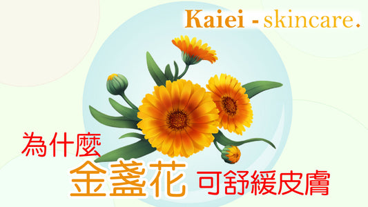 為什麼金盞花可以幫助舒緩皮膚痕癢