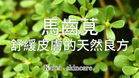 馬齒莧:舒緩皮膚痕癢的天然良方