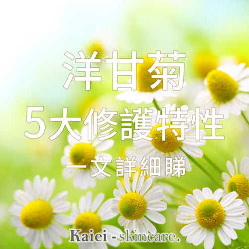 洋甘菊5大修護特性