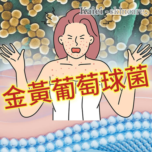 甚麼是金黃葡萄球菌?