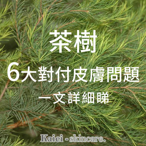 茶樹6大對付皮膚問題