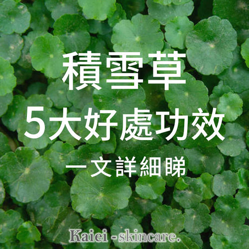 積雪草5大好處和功效