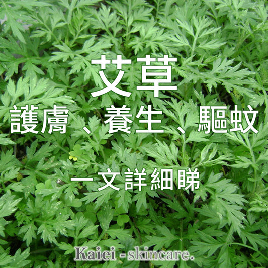 艾草護膚﹑養生﹑驅蚊一文詳細睇