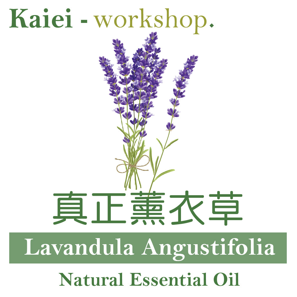 真正薰衣草精油(Lavandula Angustifolia Essential Oil)