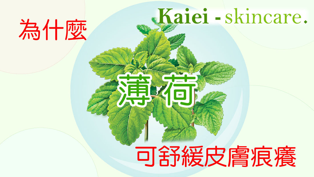 為什麼薄荷可以幫助舒緩皮膚痕癢