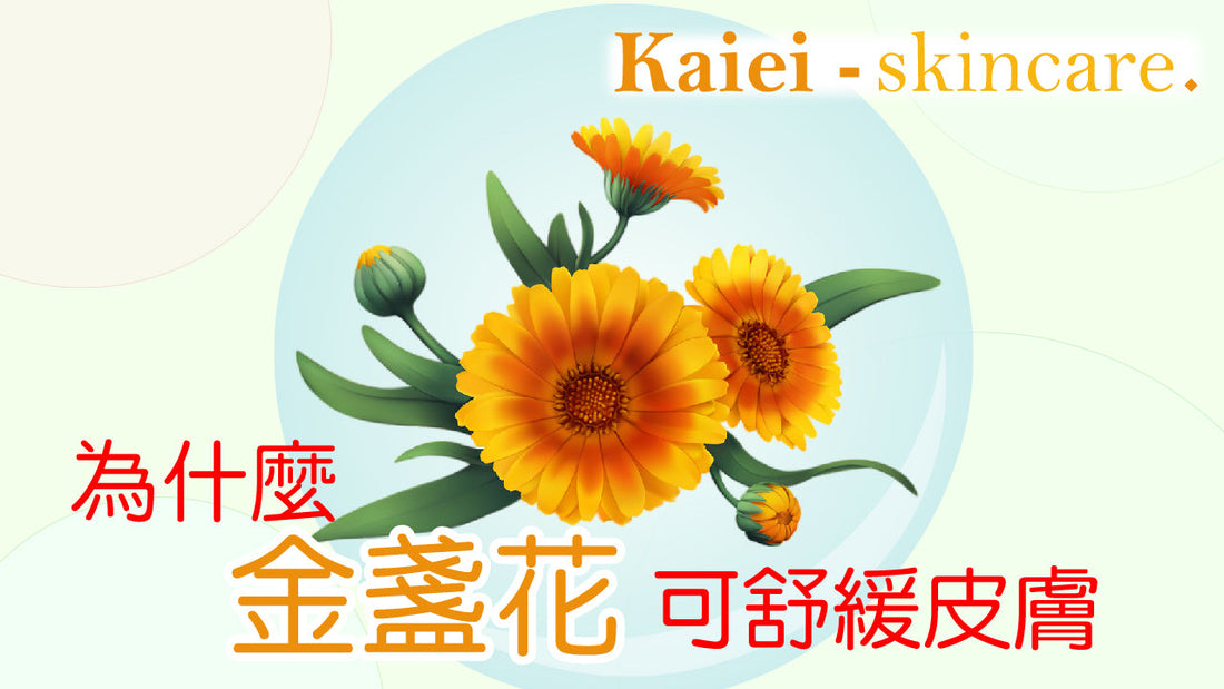 為什麼金盞花可以幫助舒緩皮膚痕癢
