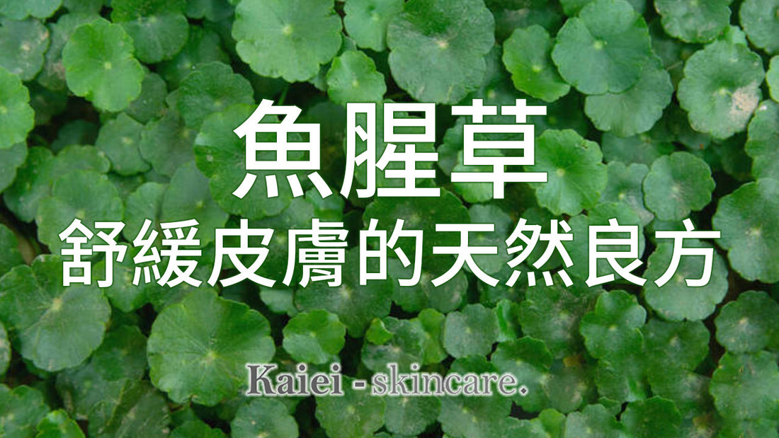 積雪草：舒緩皮膚痕癢的天然良方