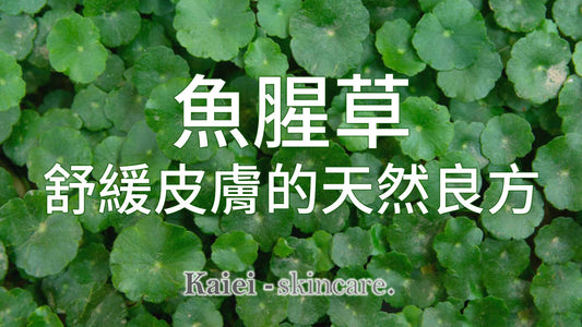 積雪草：舒緩皮膚痕癢的天然良方