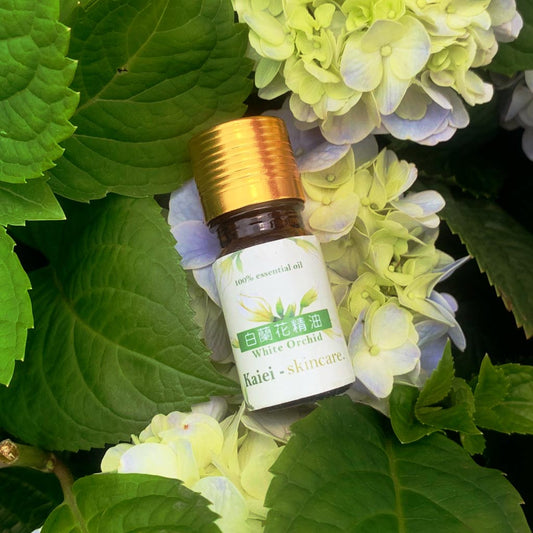 白玉蘭精油（白蘭花精油）