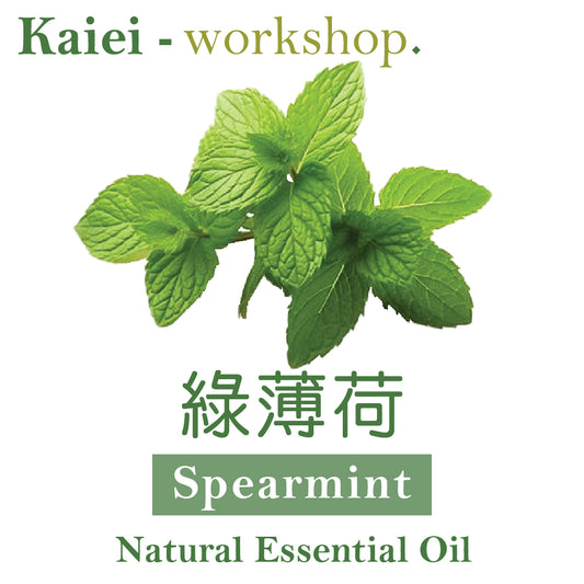 綠薄荷精油（Spearmint Essential Oil)