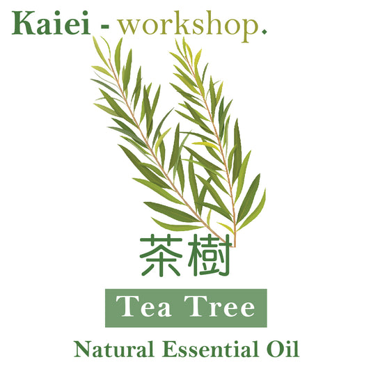 茶樹精油（Tea Tree Essential Oil）
