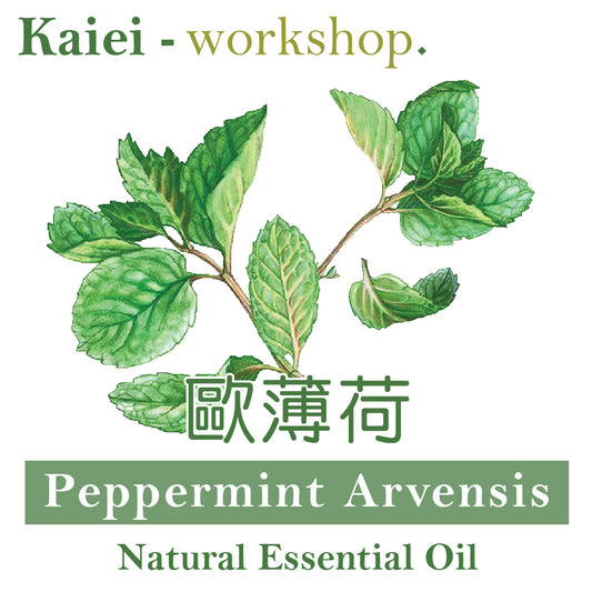 歐薄荷精油（Peppermint Essential Oil）