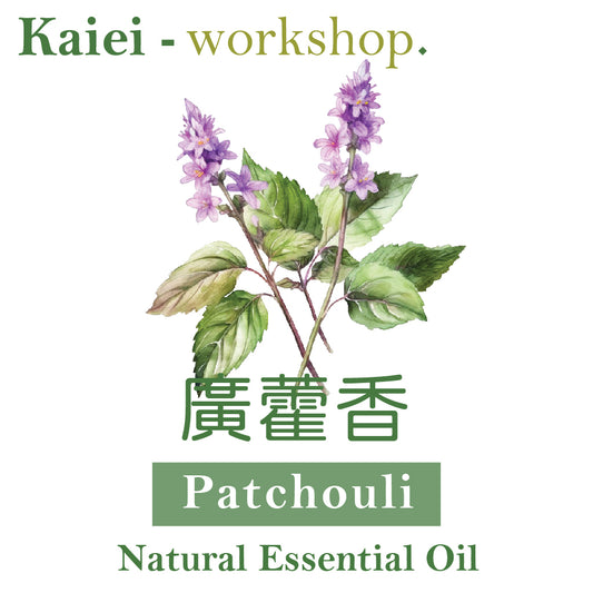 廣藿香精油（Patchouli Essential Oil）
